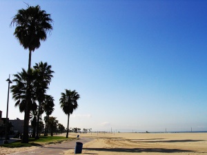 het uitgestrekte strand van Venice Beach | Hollywood